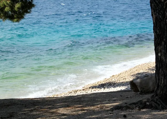 By The Sea Petrcane, Zadar - 13490 Apartman *